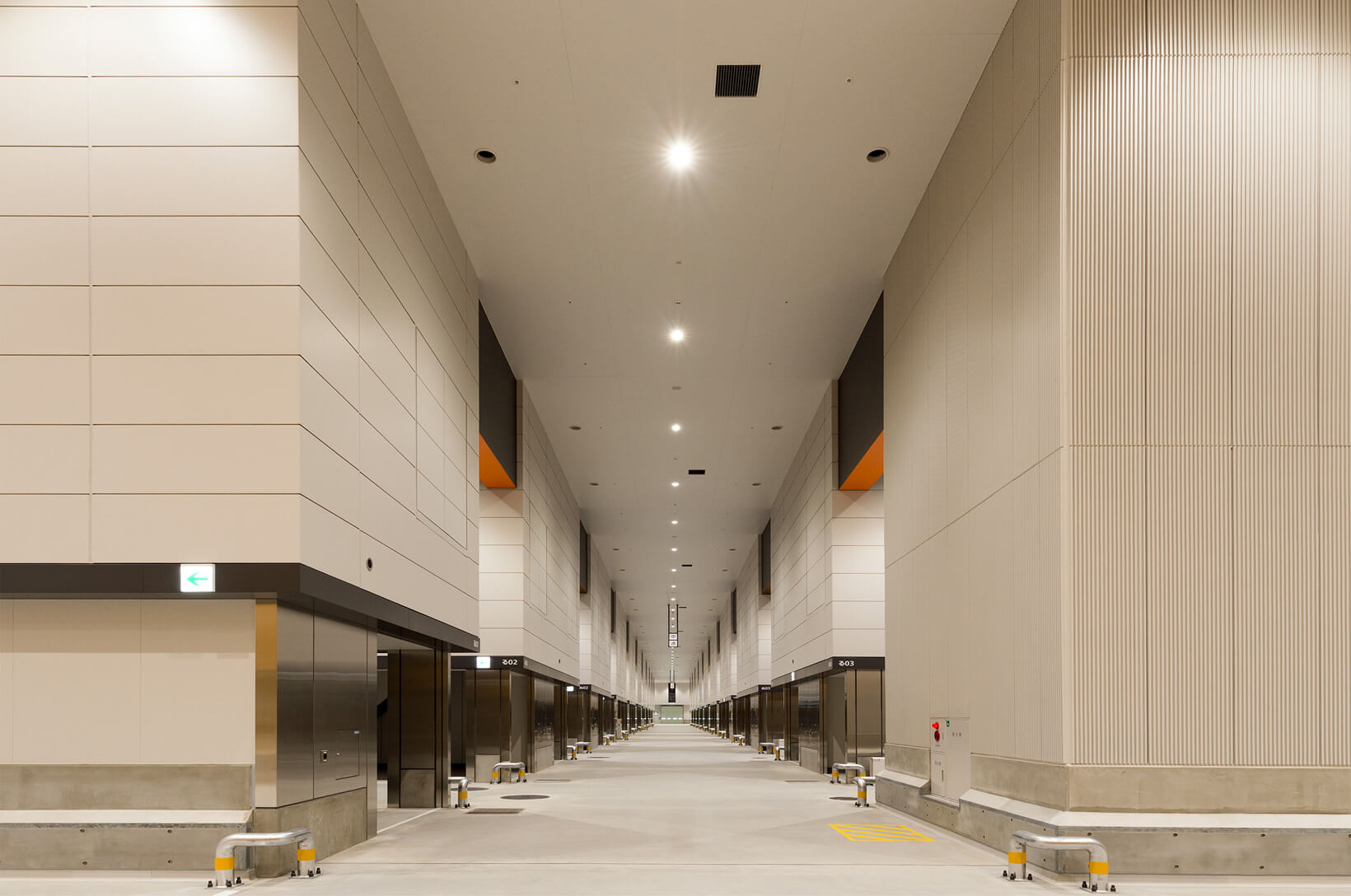 豊洲市場 青果棟の写真