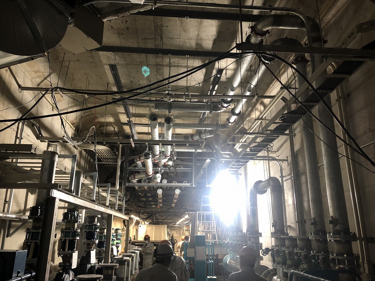 新宿地下道シーズンロード・ワンデーロードの写真