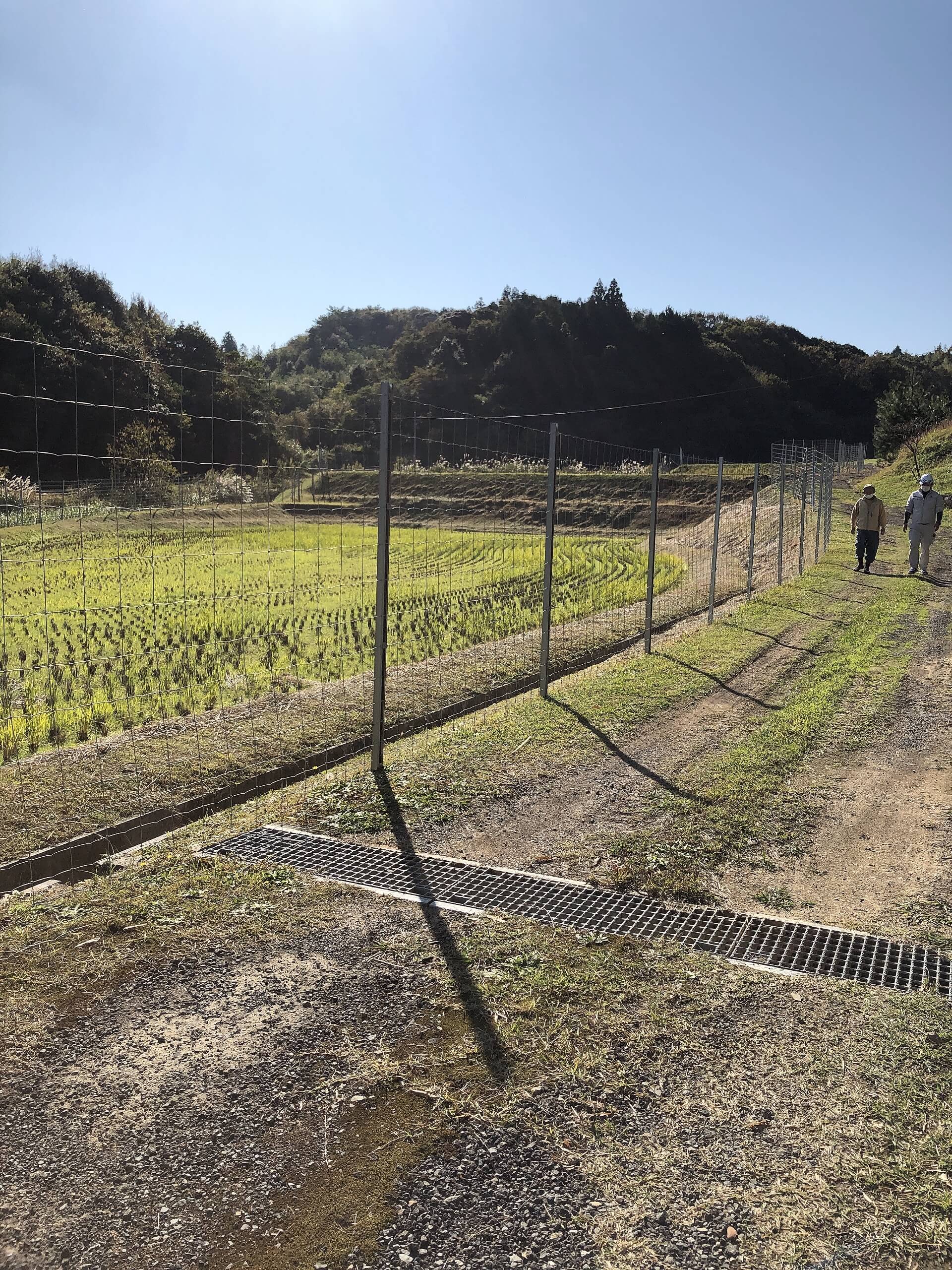 鹿やイノシシを畑に入らないように柵をする工事の写真