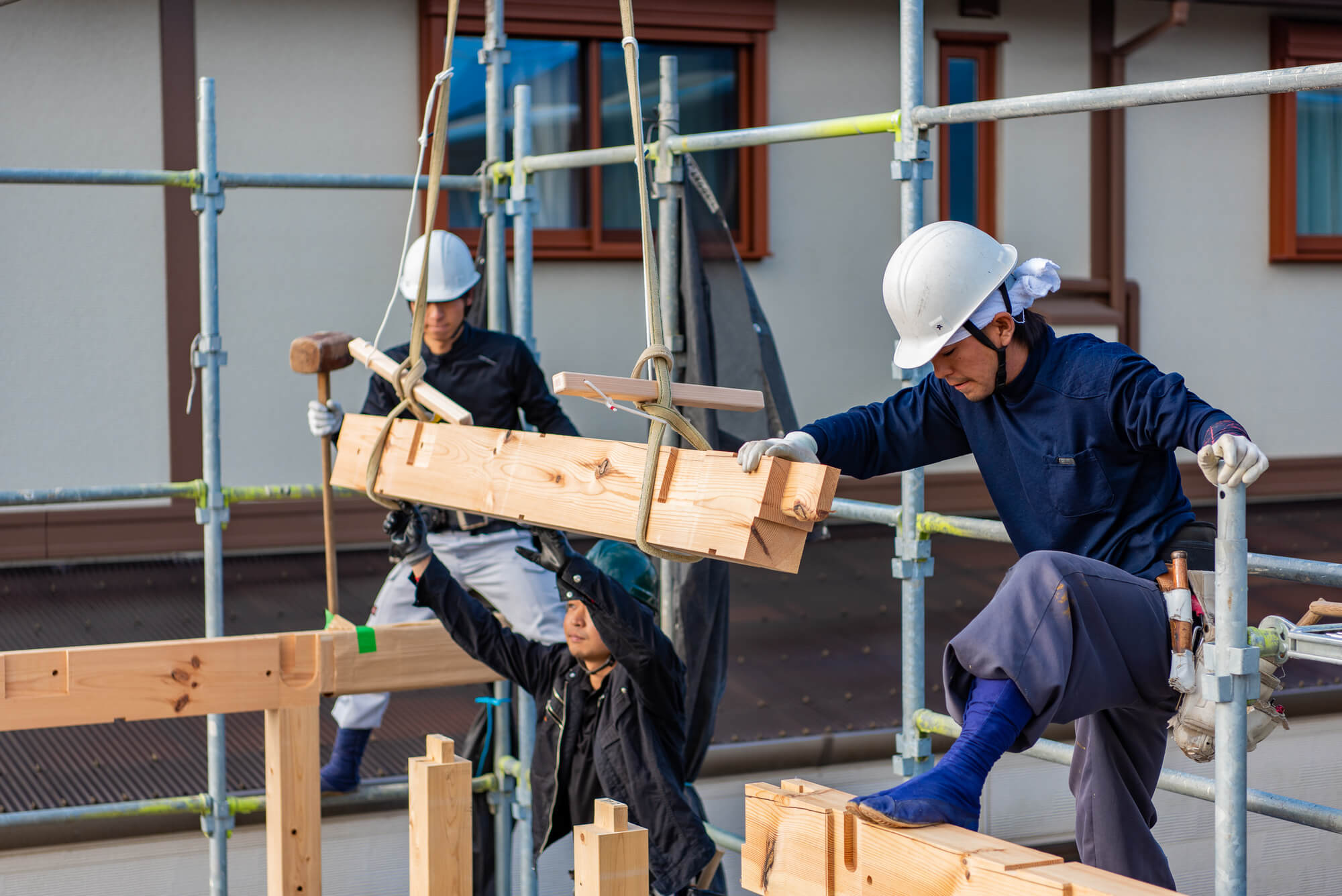 構造材組み立て 梁桁の写真