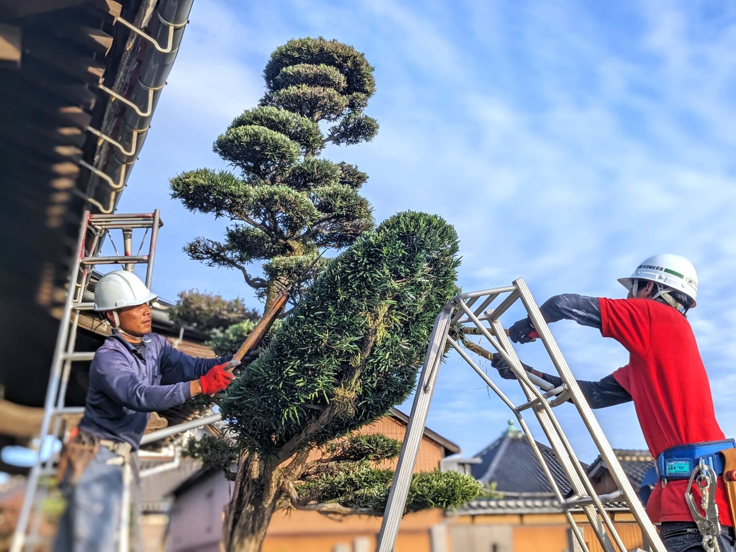 作業再開の写真