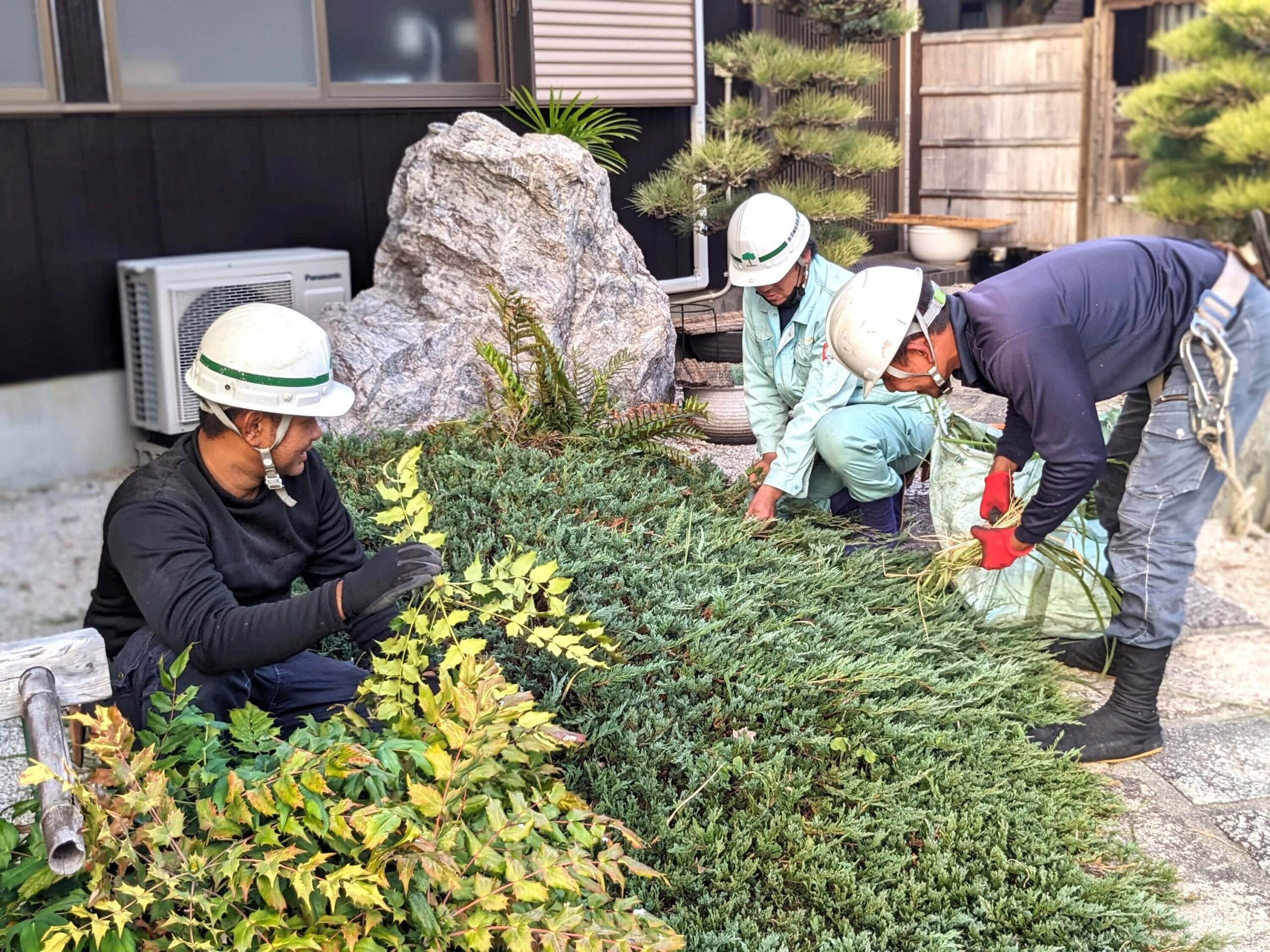 作業完了の写真