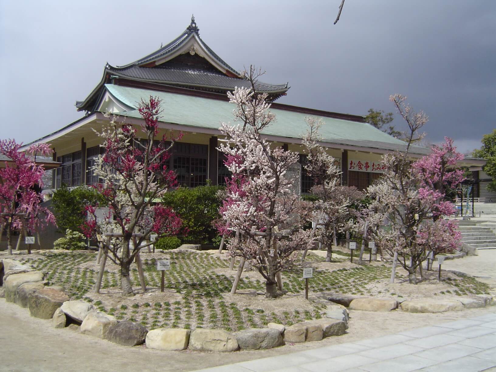天満宮植樹管理の写真