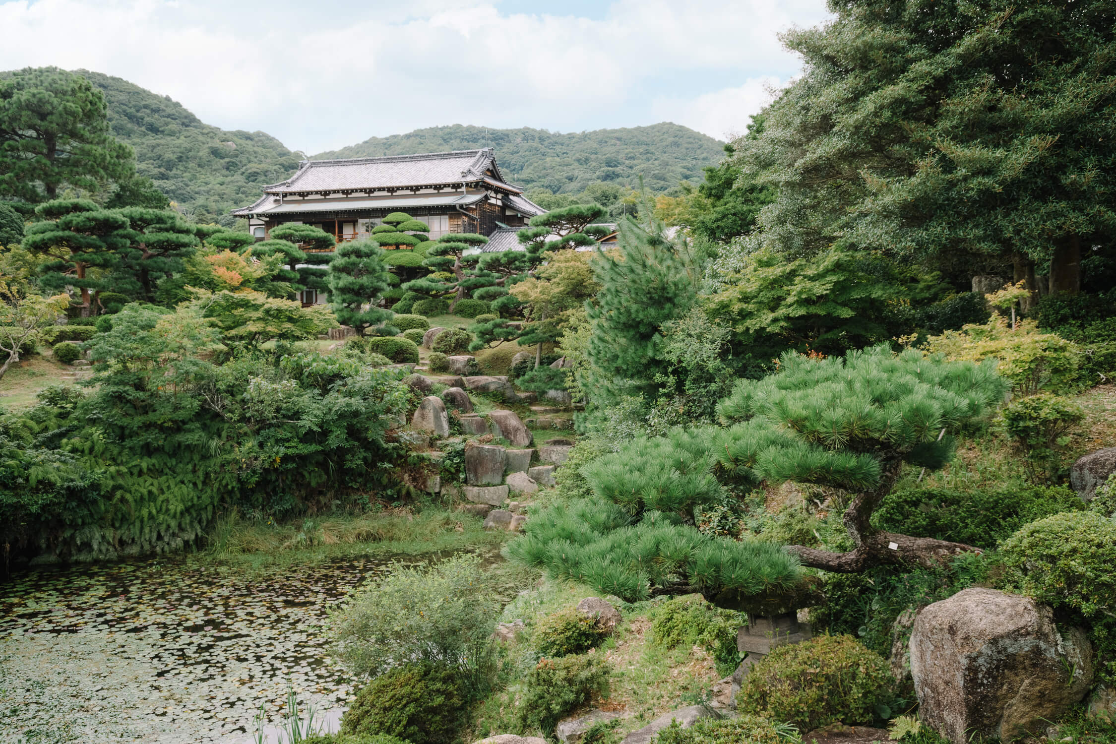 毛利庭園植樹管理の写真
