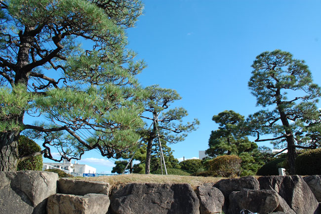 株式会社トクヤマ本事務所の写真