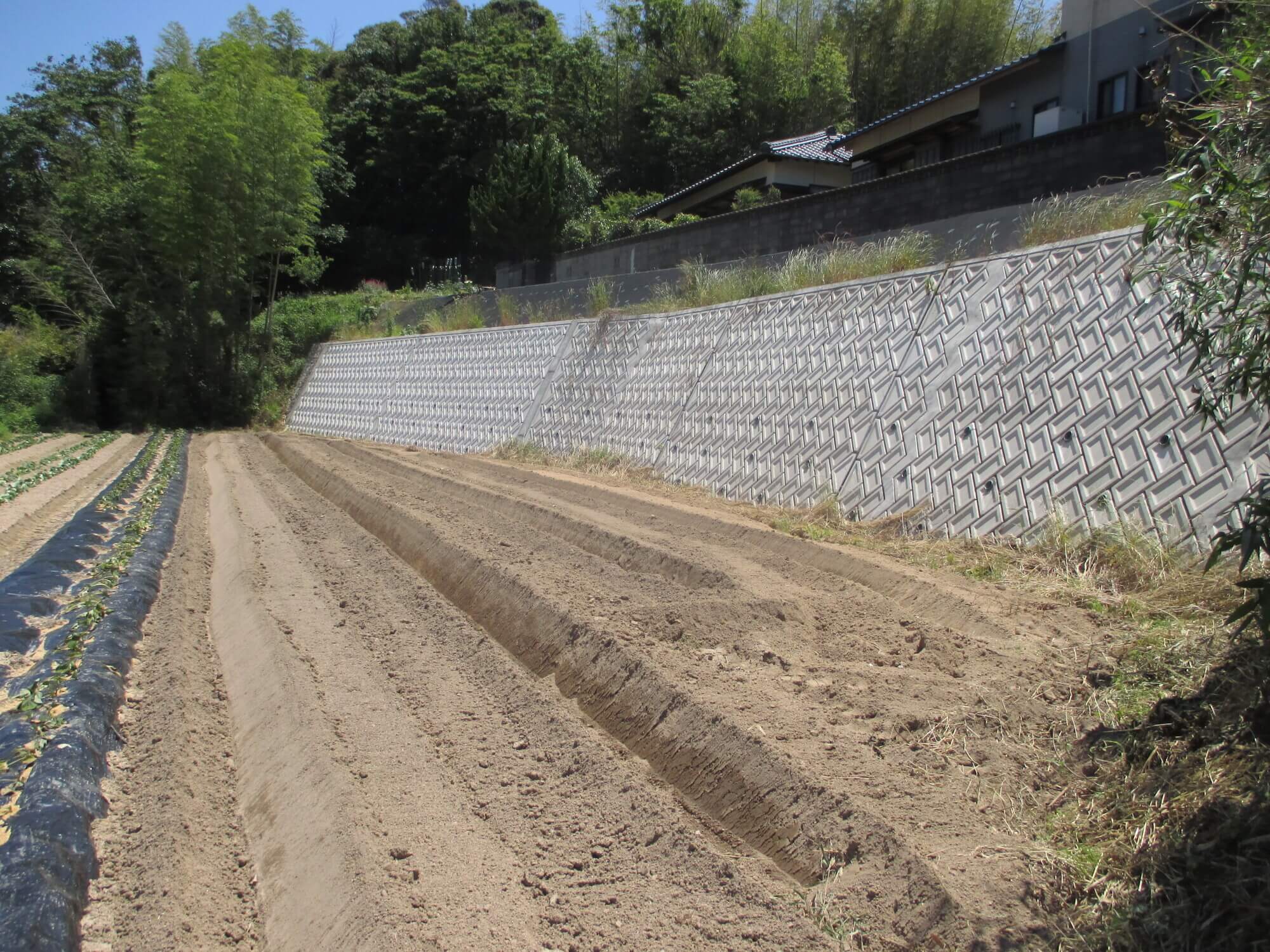 がけ崩れ緊急対策工事に伴う測量設計の写真