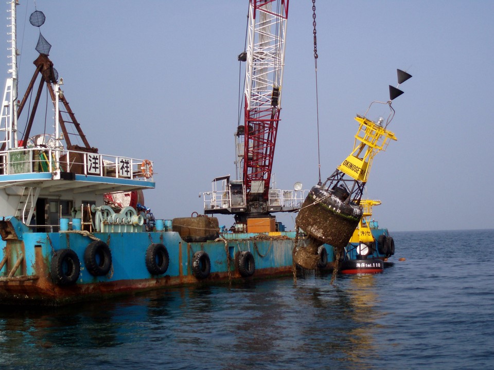 海の現場オールラウンダーの写真