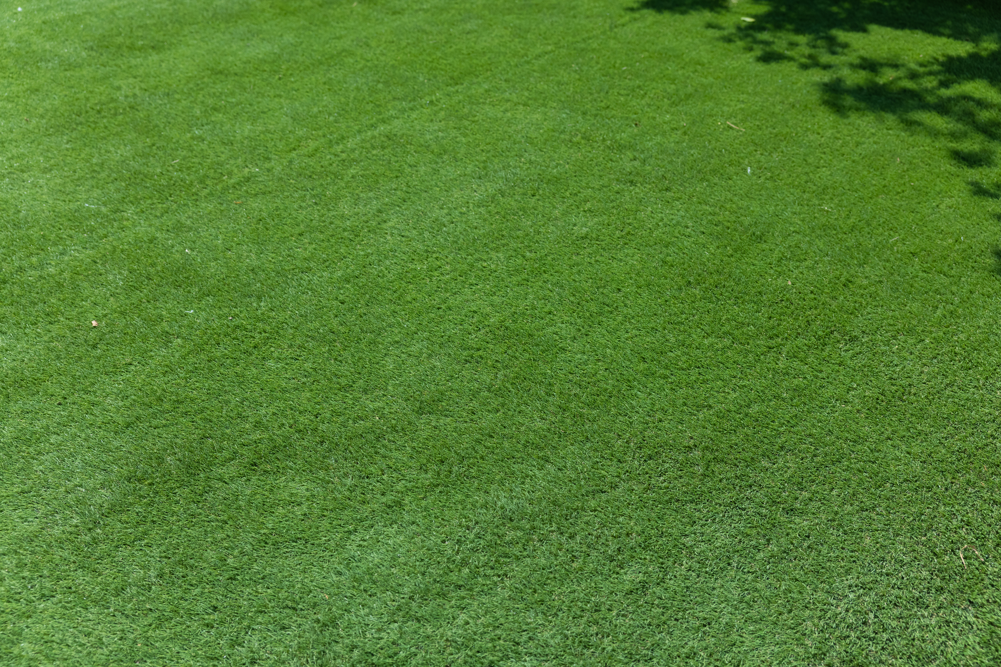 景観・公園整備の写真