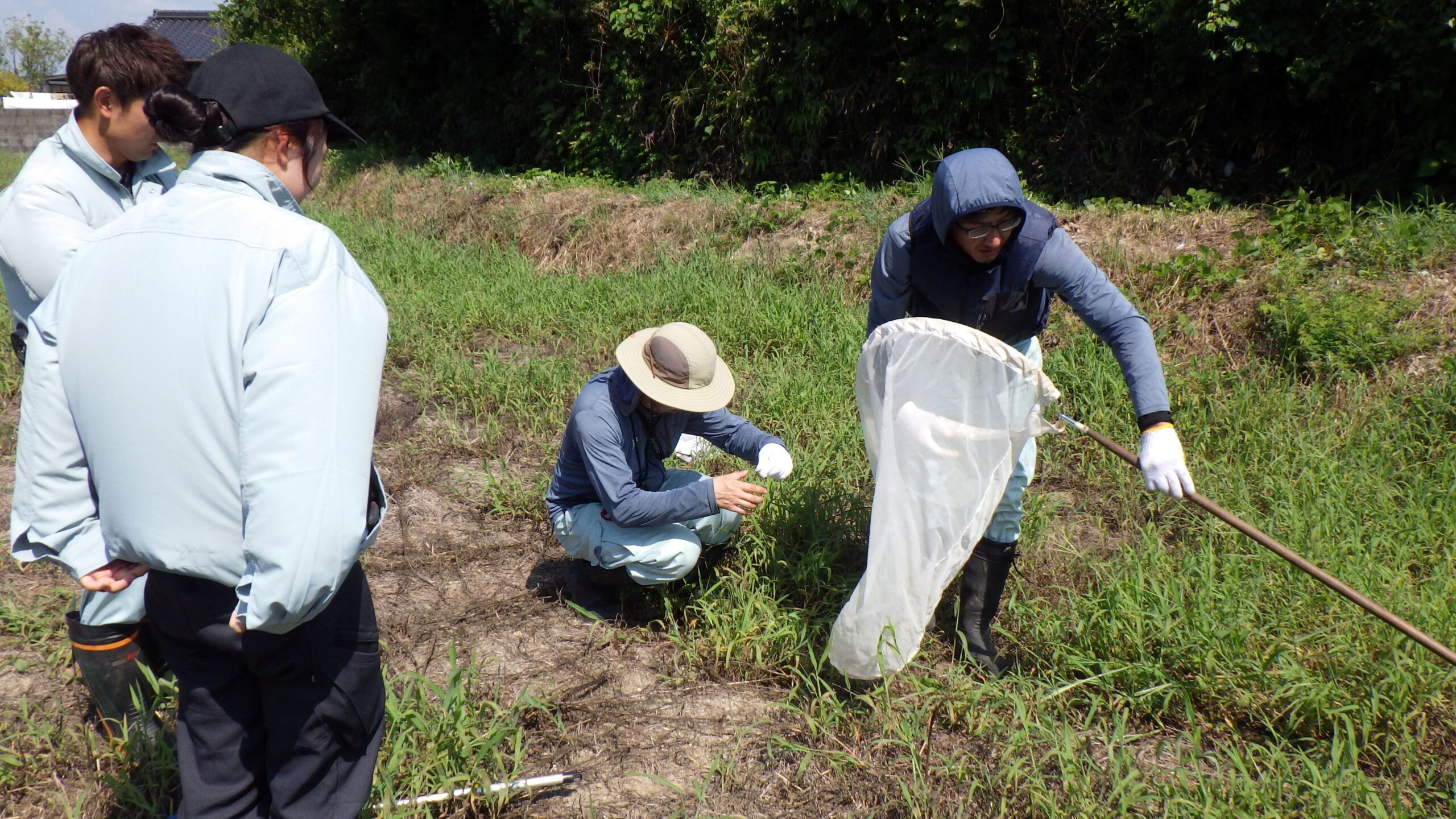 調査部の業務体験（5日間）の写真